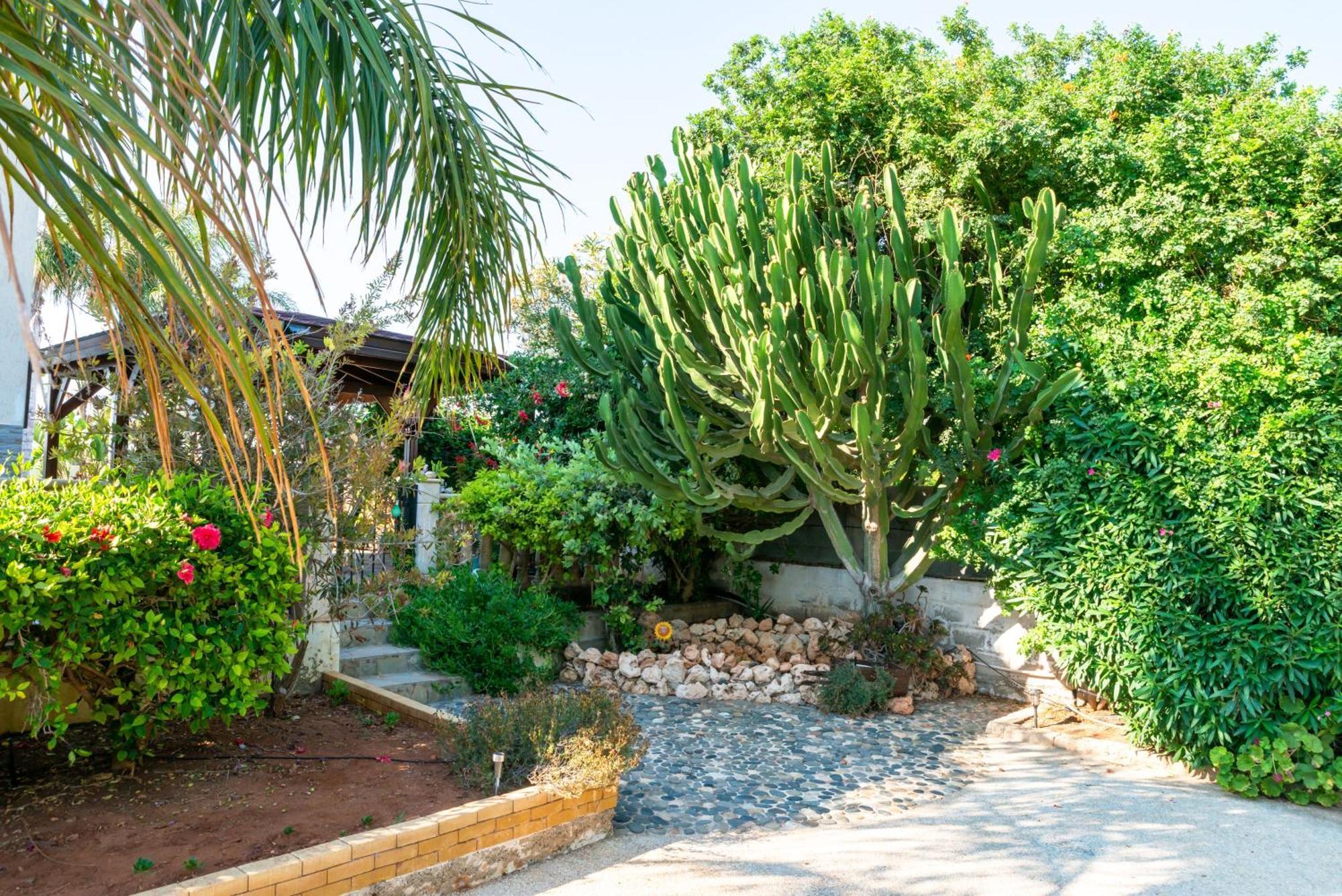 Villa Tropical Ayía Nápa