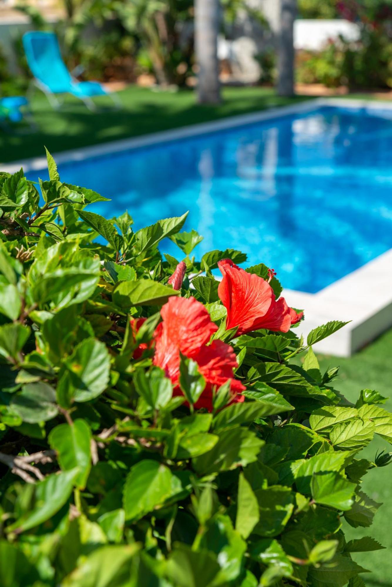 Tropical Villa Ayía Nápa